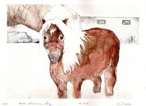 Watercolor - Radu the Romanian Pony