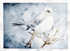 Watercolor - Mockingbird