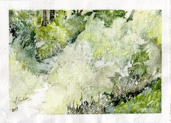 Watercolor - Woodland Path