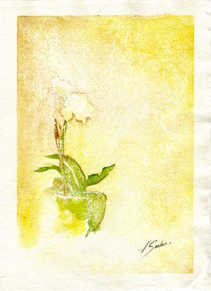 Watercolor - Phalaenopsis Yellow