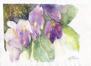 Watercolor - Violets Study 1